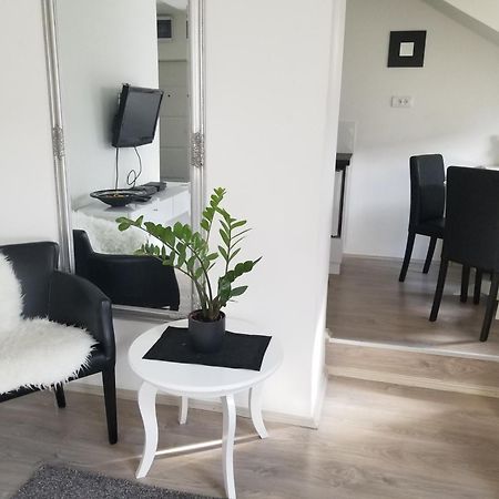 Stan Na Dan Angel Lejlighed Novi Sad Værelse billede